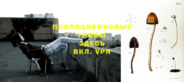мдпв Балабаново