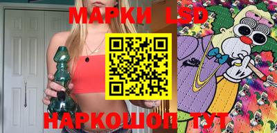 сатива Ставрополь