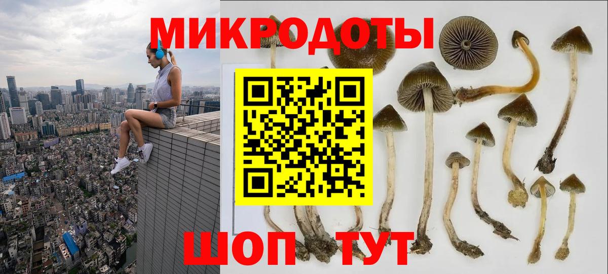 Галлюциногенные грибы Cubensis Печора
